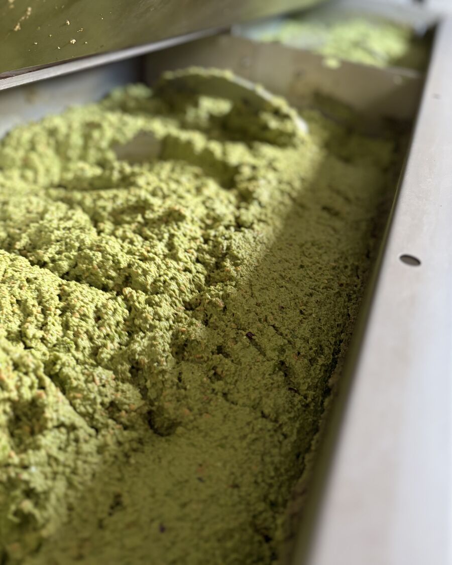 Pasta de aceitunas en la almazara