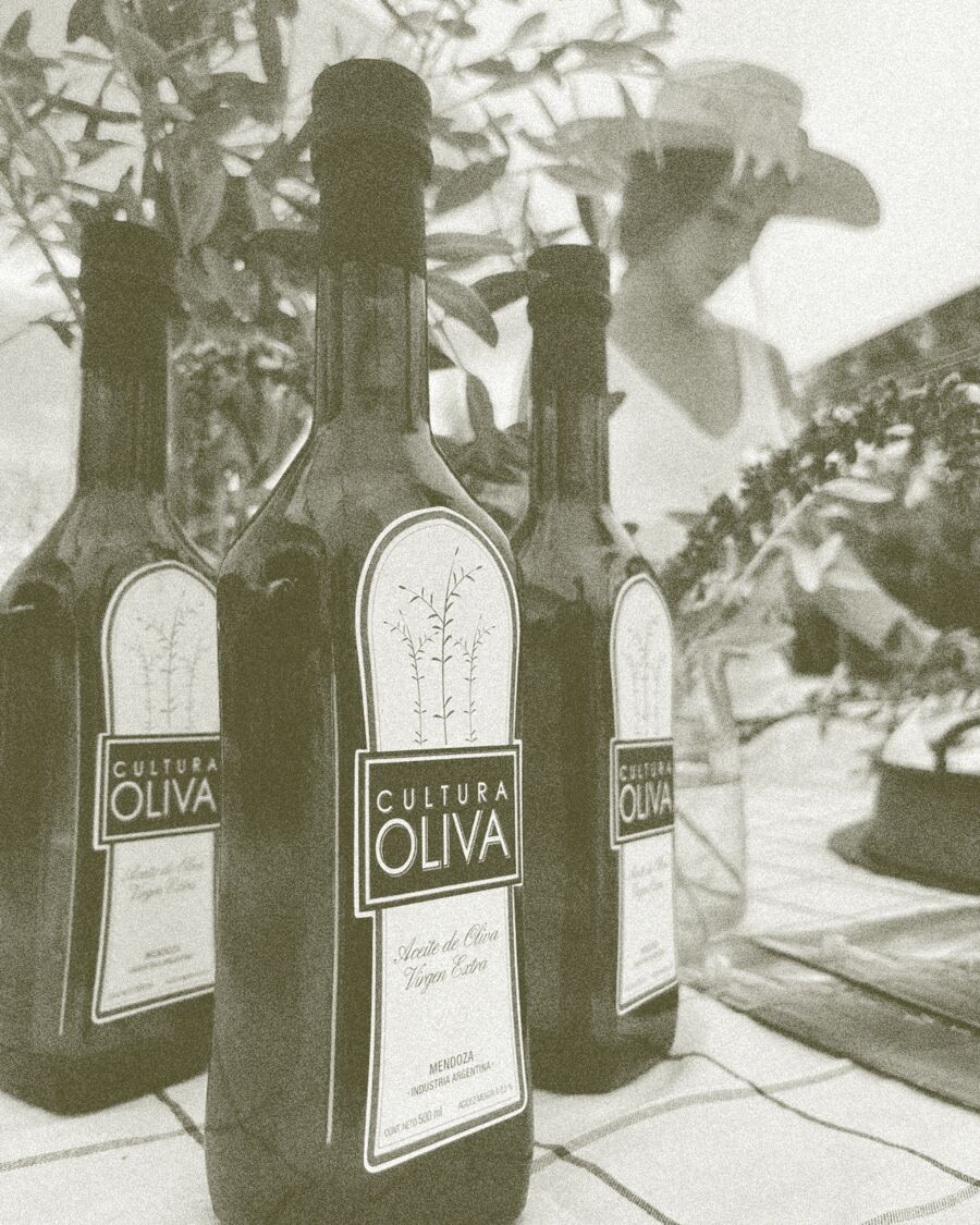 Botellas de Cultura Oliva