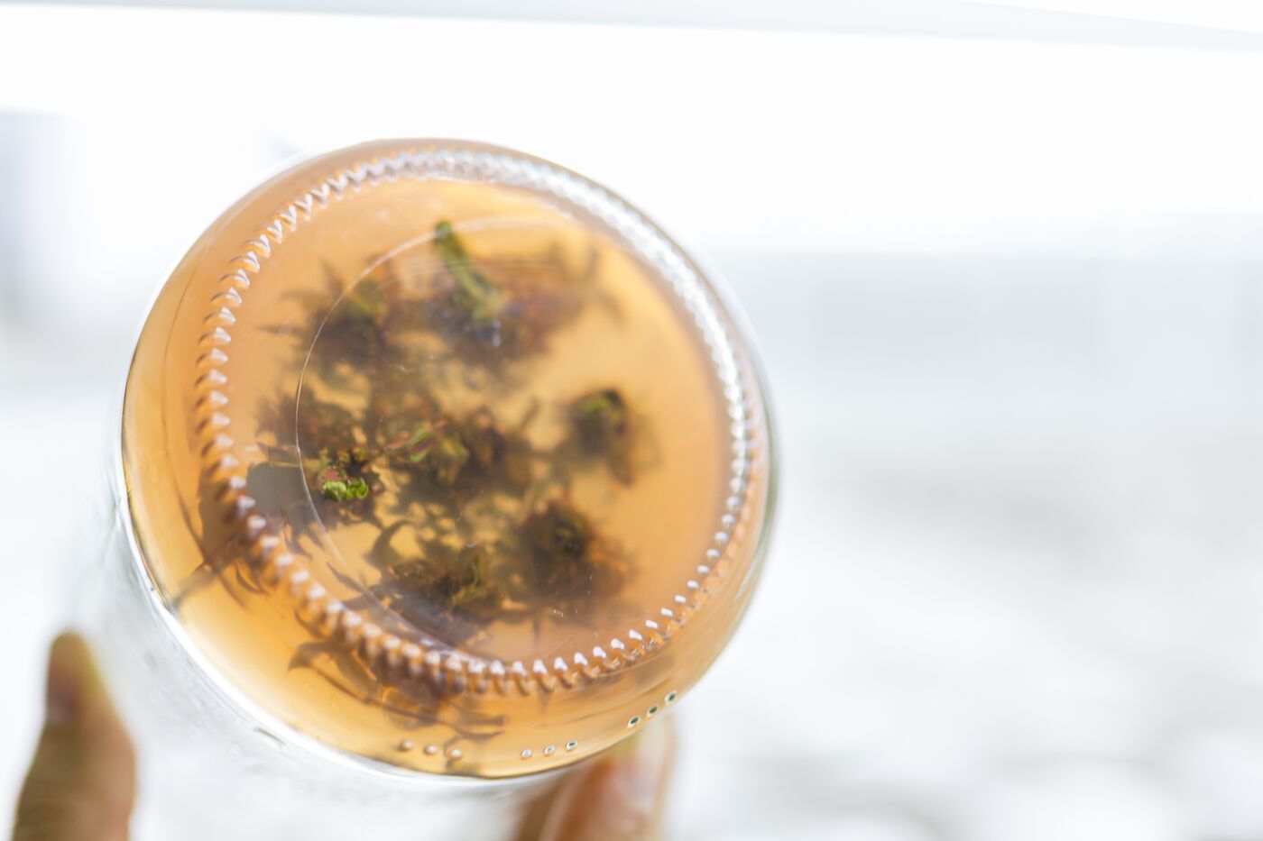 Frasco de cultivo in vitro del laboratorio de micropropagación