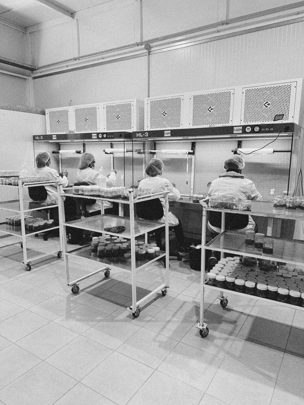 Equipo trabajando en las cabinas de flujo laminar del laboratorio